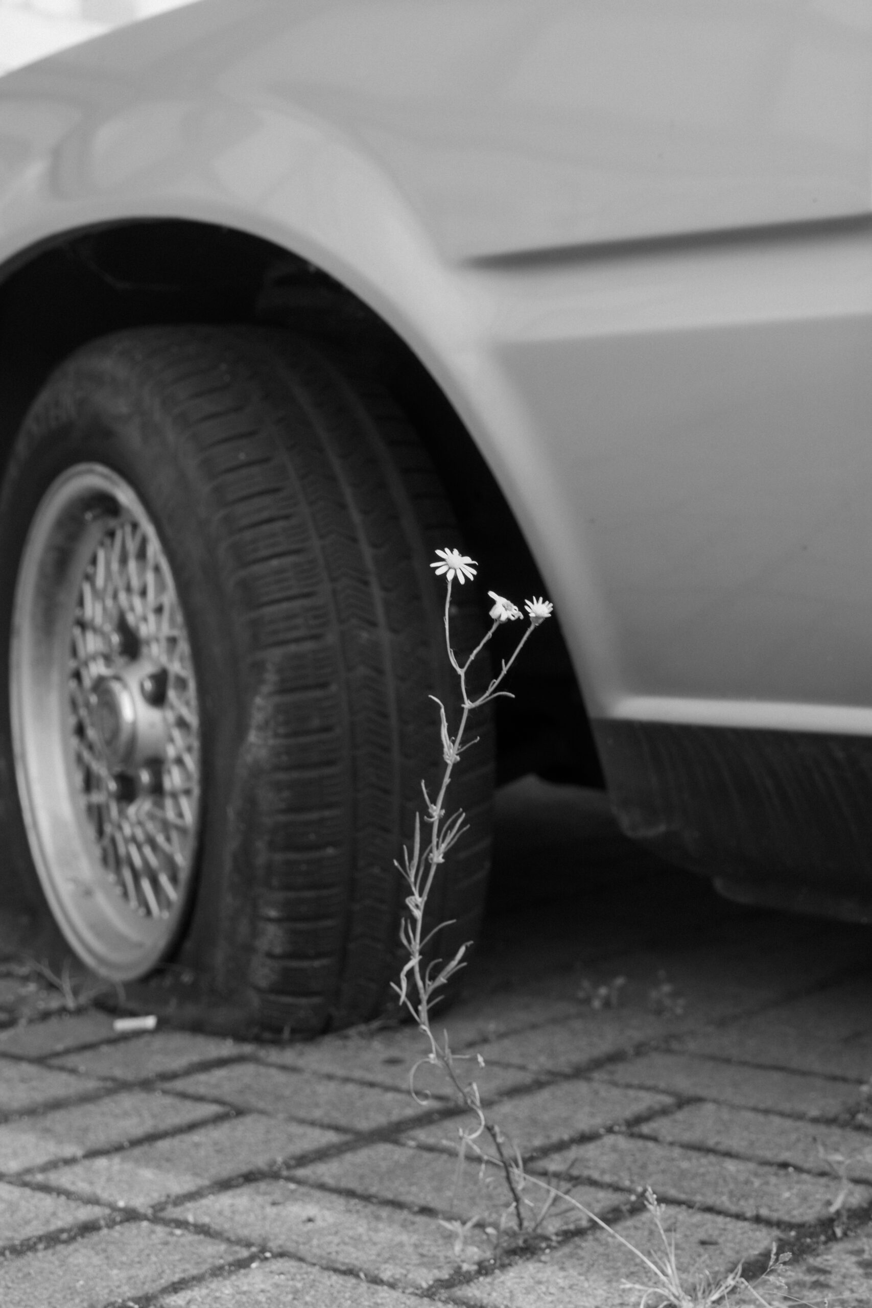 christineknappe-stadtlandschaften-3948