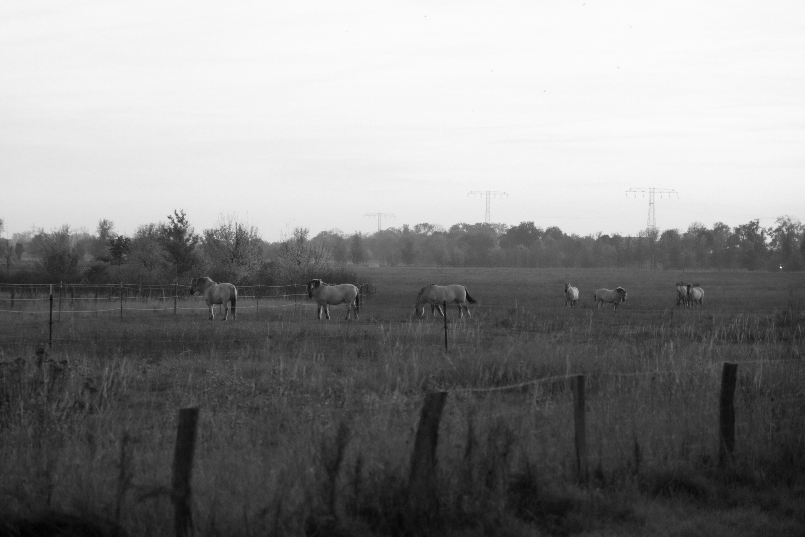 christineknappe-stadtlandschaften-4761