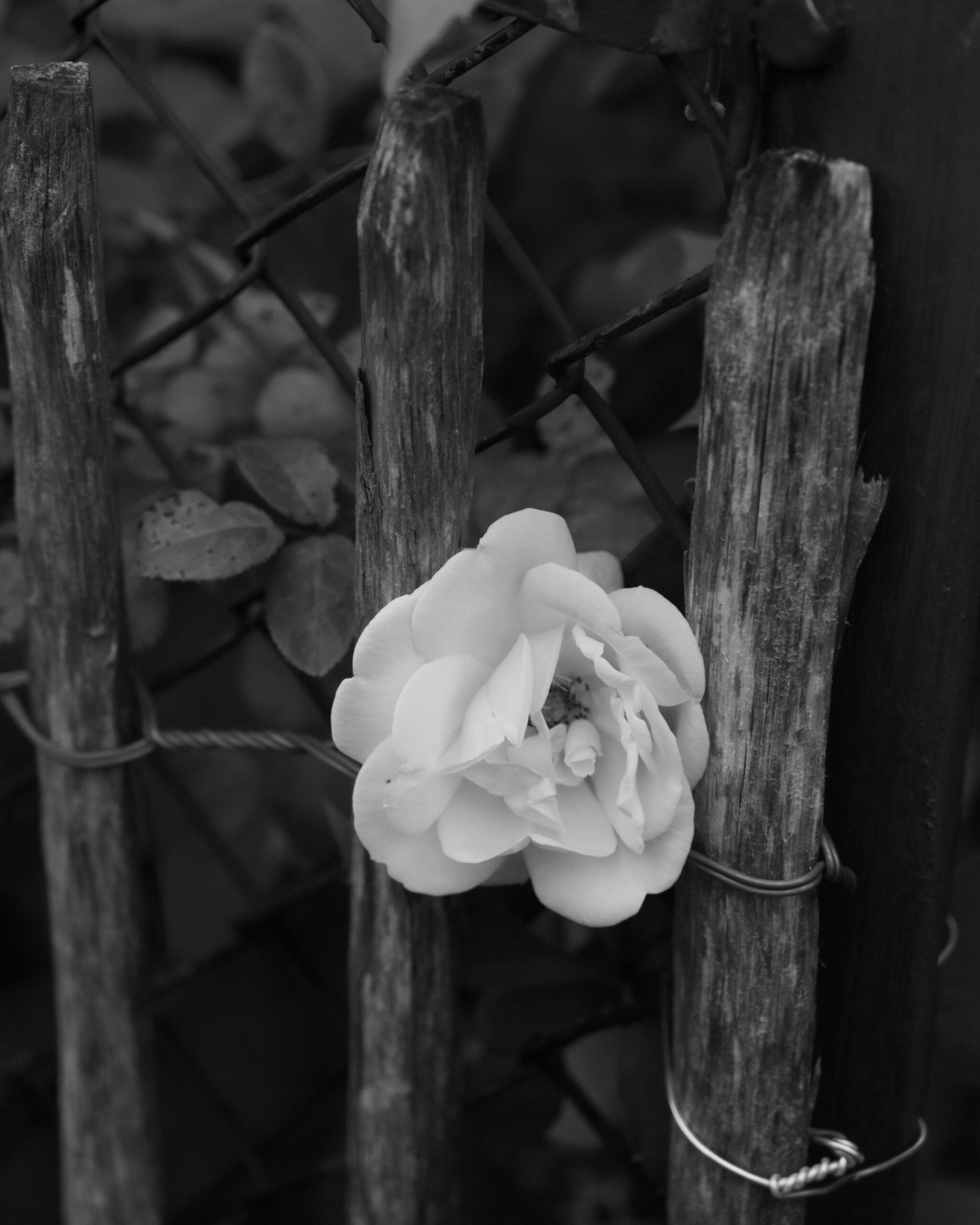 christineknappe-stadtlandschaften-9265